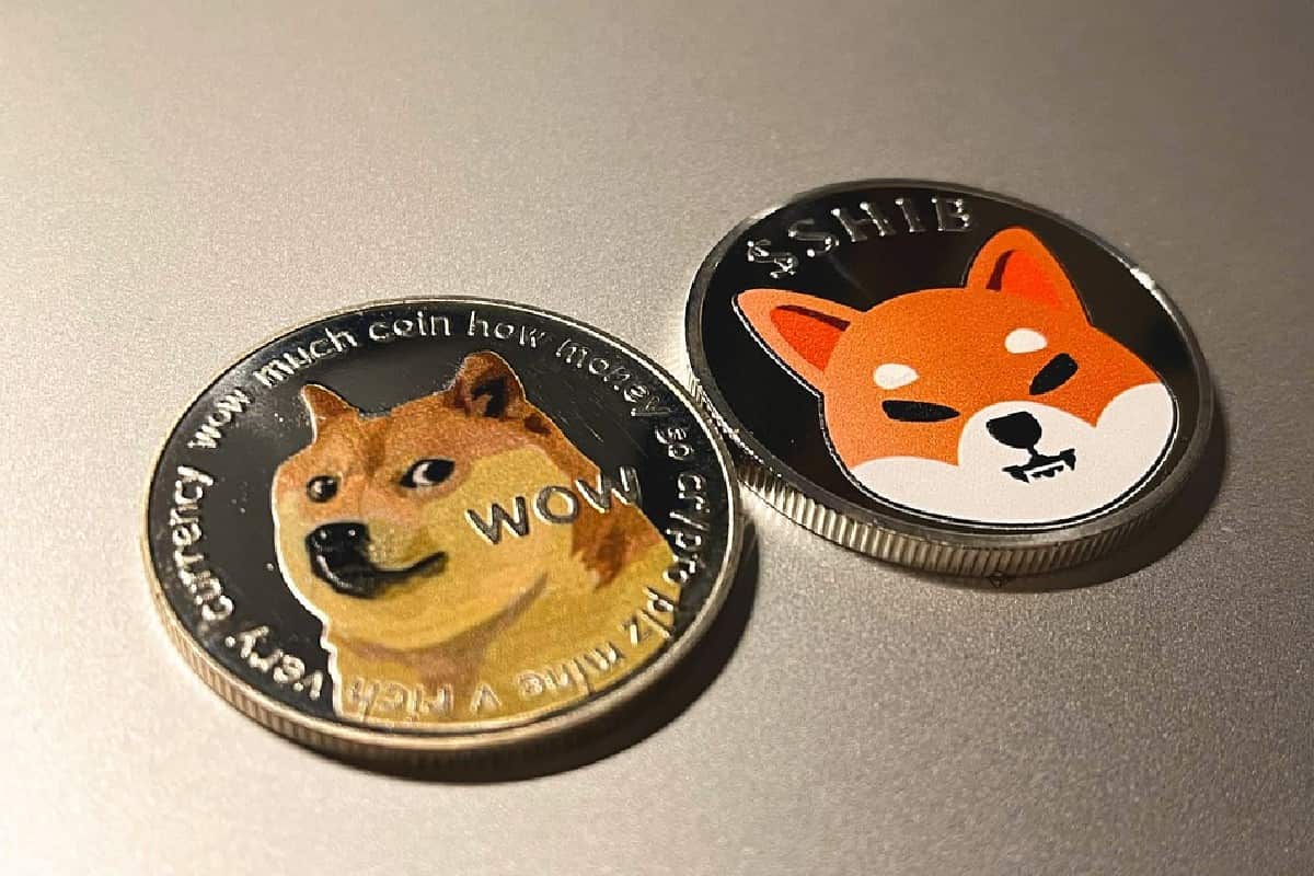 Moneda de Shiba inu coin junto a la de Dogecoin.