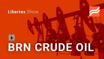 OPEC+ leaves its quotas unchanged