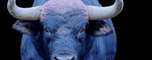 Stocks Back in the Spotlight After Achieving New ATHs 